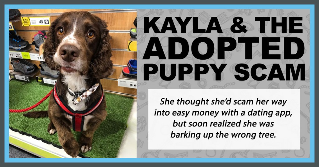 Puppy_Scam_Image